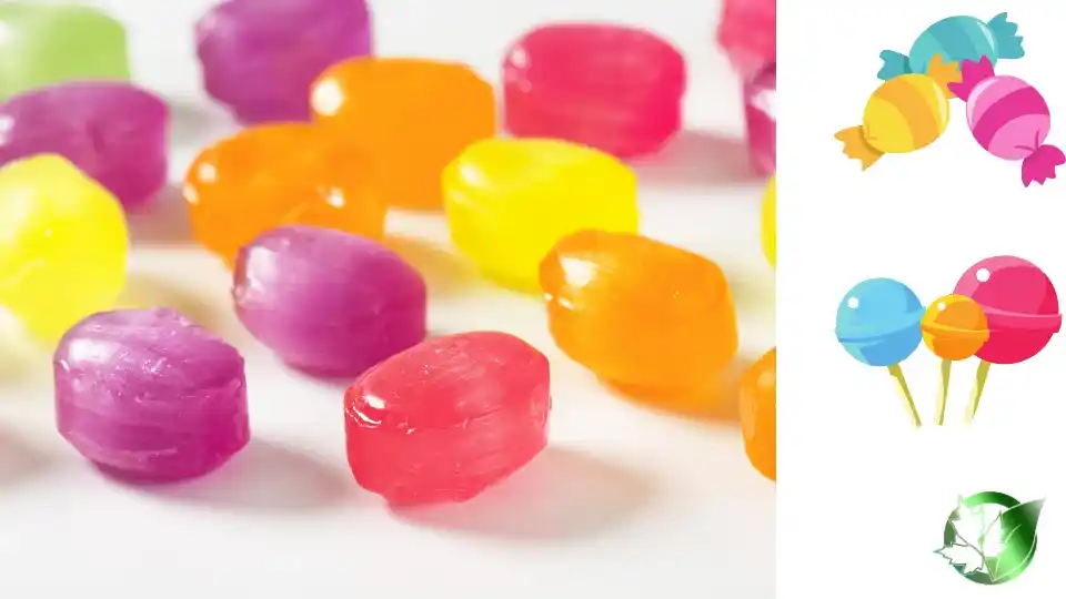 Vendor evaluation for Hard Candy should cover specification, packaging, documentation, logistics, and true import cost.